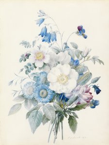 Ásteres azuis, rosa spinosissima (híbrida), campainha, violas, cravos e uma rosa selvagem de Pierre Joseph Redouté