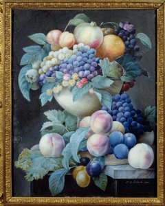 Uvas num copo. Pintura de Pierre Joseph Redoute (1759-1840) de Pierre Joseph Redouté