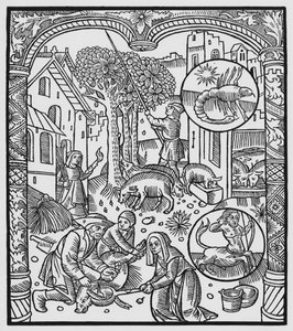 Novembro, matando o porco e colhendo bolotas, Escorpião, ilustração do &39;Almanach des Bergers&39;, 1491 (xylograph)