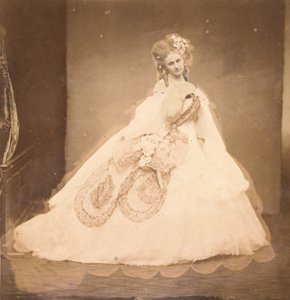 O Bis. Boudoir, vestido de veludo cinza, moiré rosa, flores rosa, folhas cinzentas de seu mai,..., década de 1860. de Pierre Louis Pierson