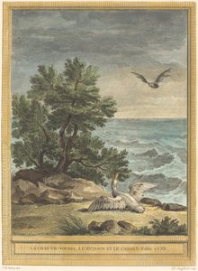 O morcego, o arbusto e o pato de Pierre Philippe Choffard after Jean Baptiste Oudry