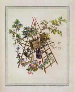 Um projeto têxtil de jardim, de Obra contendo uma Coleção de Trophees, Atributos, Cartuchos, Vasos, Flores, Ornemens e Vários Desenhos Agradáveis para Poltronas de Bordado, gravadas por Etienne C