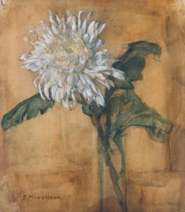 Crisântemo de Piet Mondrian