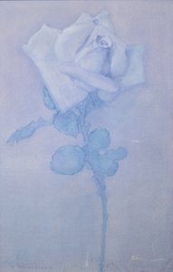 Rosa branca de Piet Mondrian