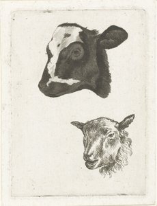Cabeça de bezerro e ovelha de pêlo preto de Pieter Barbiers (IV)