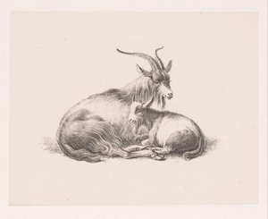Buck e uma cabra de Pieter Bartholomeusz. Barbiers