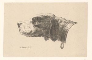Cabeça de cão com coleira de Pieter Bartholomeusz. Barbiers