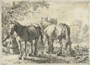 Três cavalos e um agricultor
Vários animais (título da série) de Pieter Bodding van Laer