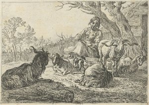 Pastora no meio de cabras e ovelhas
Vários animais (título da série) de Pieter Bodding van Laer