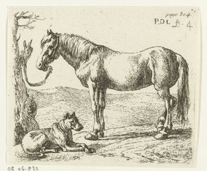 Cavalo e cachorro em um prado Cavalos (título da série) de Pieter Bodding van Laer