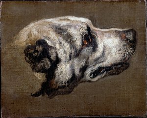 Cabeça de um cão