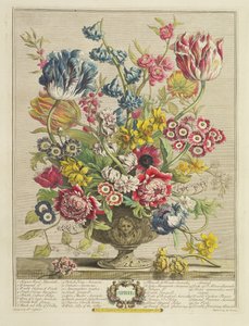 Abril, de &39;Doze meses de flores&39;, por Robert Furber (c.1674-1756), gravado por Henry Fletcher (fl.c.1729), publicado em 1730 (cor aquatinta) (ver também 125934)