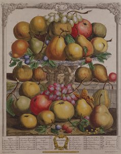 Dezembro, de &39;Doze Meses de Frutos&39;, de Robert Furber (c.1674-1756) gravado por Henry Fletcher, 1732 (gravura a cores)