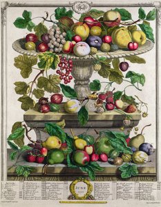 Junho, de &39;Twelve Months of Fruits&39;, de Robert Furber (c.1674-1756) gravado por Henry Fletcher, 1732 (gravura colorida)