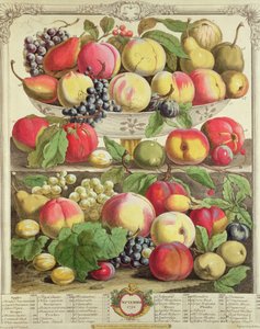 Setembro, de &39;Doze Meses de Frutos&39;, de Robert Furber (c.1674-1756) gravado por Henry Fletcher, 1732 (gravura colorida) de Pieter Casteels