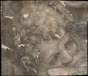 Cabeça de um homem barbudo, olhando para cima de Pieter Coecke van Aelst