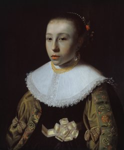 Retrato de uma jovem de Pieter Dubordieu