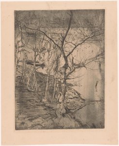 Árvores nuas junto à água de Pieter Dupont