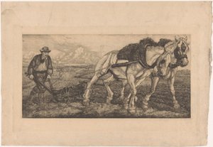 Dois cavalos de lavoura