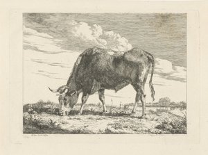 vaca pastando de Pieter Gerardus van Os