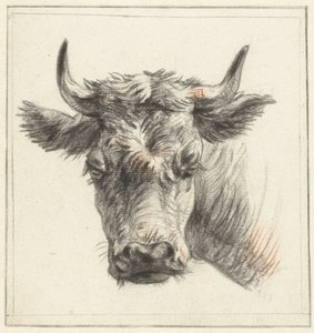 Cabeça de um bovino de Pieter Gerardus van Os