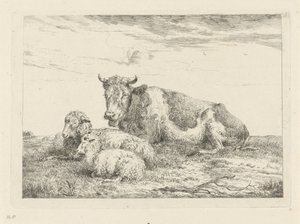 Vaca adormecida com ovelha e borrego