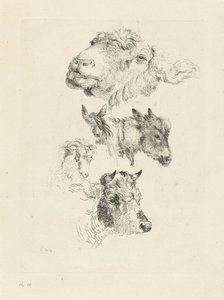 Folha de estudo com cabeças de ovelha, cavalo, burro, carneiro e touro de Pieter Gerardus van Os