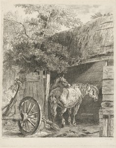 Dois cavalos em um celeiro