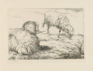 Dois carneiros no prado
Ovinos e caprinos (título da série)