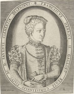 Retrato de Francisco II da França 1544-1560 de Pieter Heyden van der