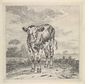 Paisagem com bezerro de Pieter Janson