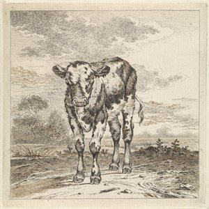 Paisagem com bezerro de Pieter Janson