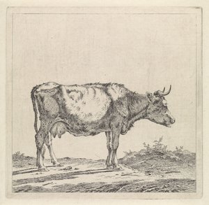 Paisagem com uma vaca à beira-mar