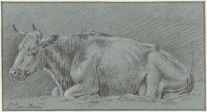 Vaca deitada