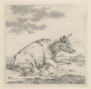 Vaca reclinada, para a direita