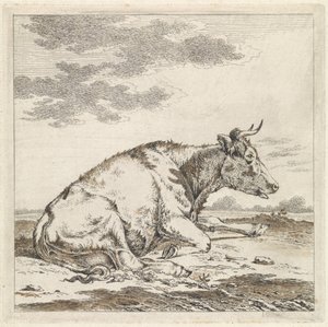 Vaca reclinada, à direita