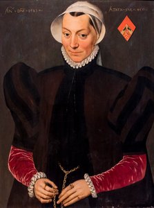Retrato de uma mulher de 45 anos