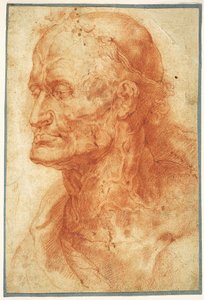 Estudo da cabeça de um velho, ca 1602. de Pieter Paul Rubens