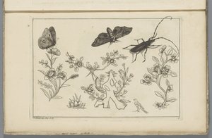 Três ramos de flores com pássaros, borboletas e um insecto
Flores e insectos chineses (título da série) de Pieter Schenk (II)