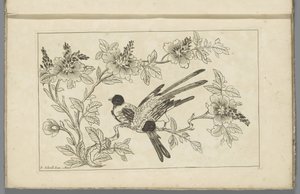 Duas aves num ramo em flor
Flores e pássaros chineses (título da série) de Pieter Schenk (II)
