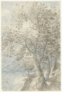 Árvores em uma parede de rocha íngreme de Pieter Stevens (I)