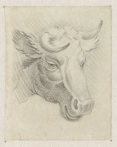 Cabeça de uma vaca de Pieter de Goeje