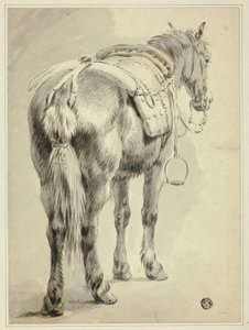 Cavalo de sela