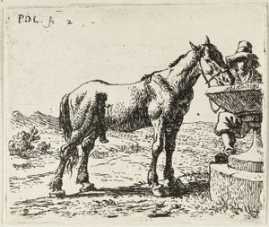 Cavalo bebedor