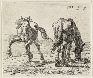 Alemão: Zwei Pferde auf einer Weide
Francês: Les deux chevaux au pâturage
Dois cavalos num prado