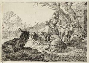 A Sheperdess entre cabras e ovelhas