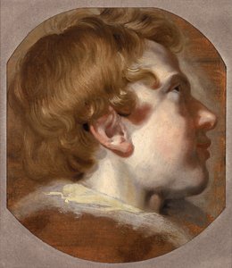 Cabeça de um menino, c.1620 (óleo sobre papel)