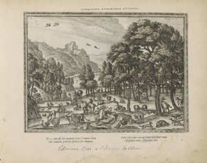Esquemas de homens
Adumbrata humanitate divinitas (título sobre o objecto)
Emblemata Sacra è praecipuis utriusque testamenti utriusque historiis concinnata (Testamento Oude) (título da série)
Imagines et figurae bibliorum (título da série) de Pieter van der Borcht (I)