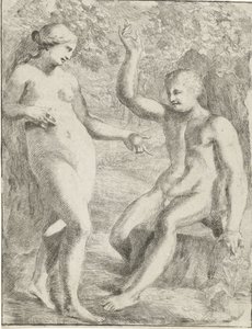 A queda de Pieter van der Plas (II)