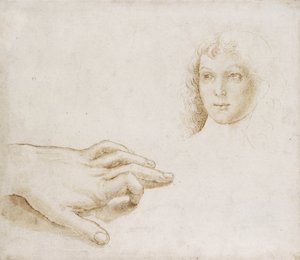 Estudos de uma cabeça e uma mão (caneta e pincel em tinta marrom-clara sobre ponta de metal em papel branco) de Pietro (circle of) Perugino